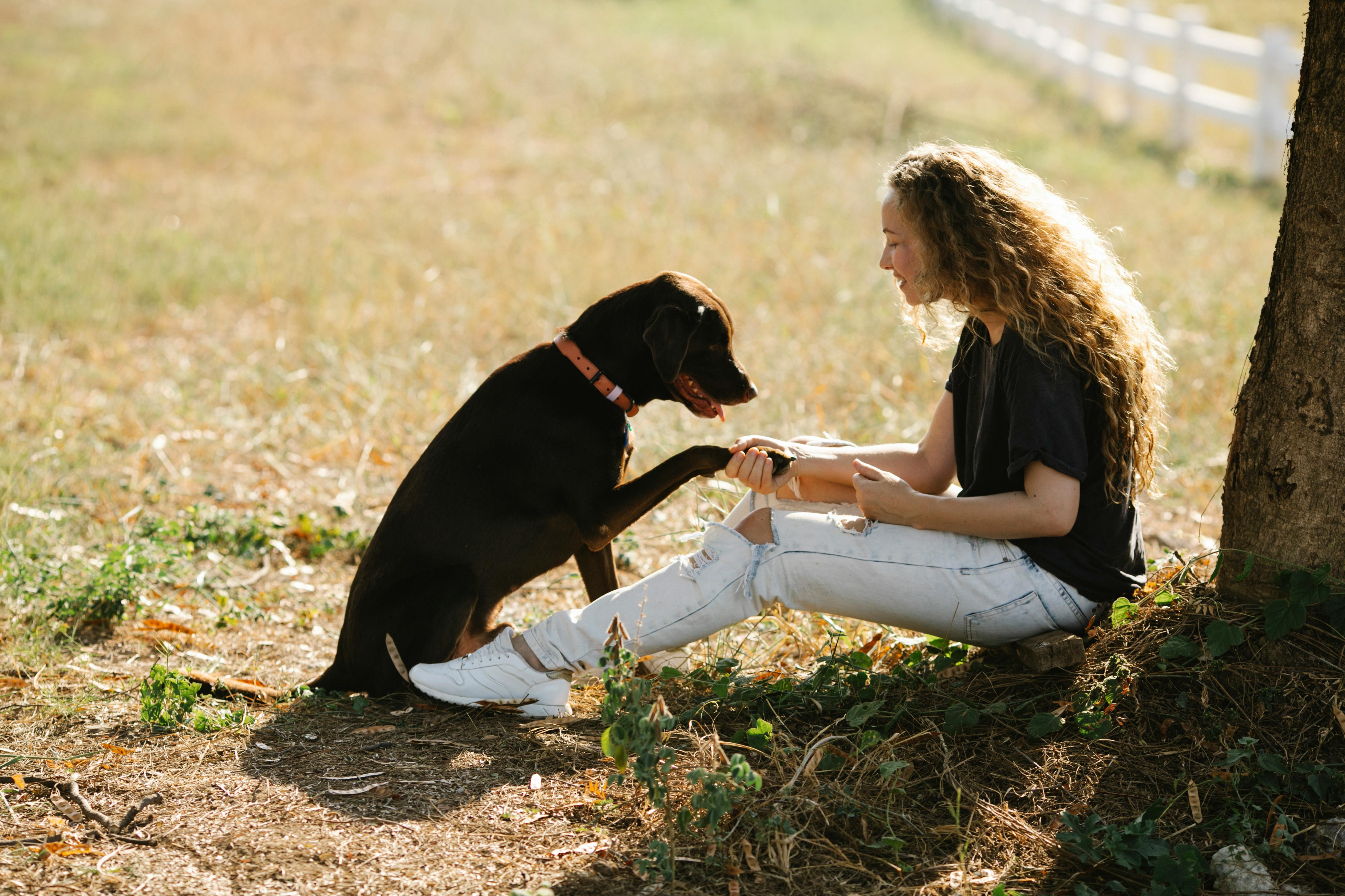 Best 5 Effective Methods to Treat Tapeworms in Cats (2025)