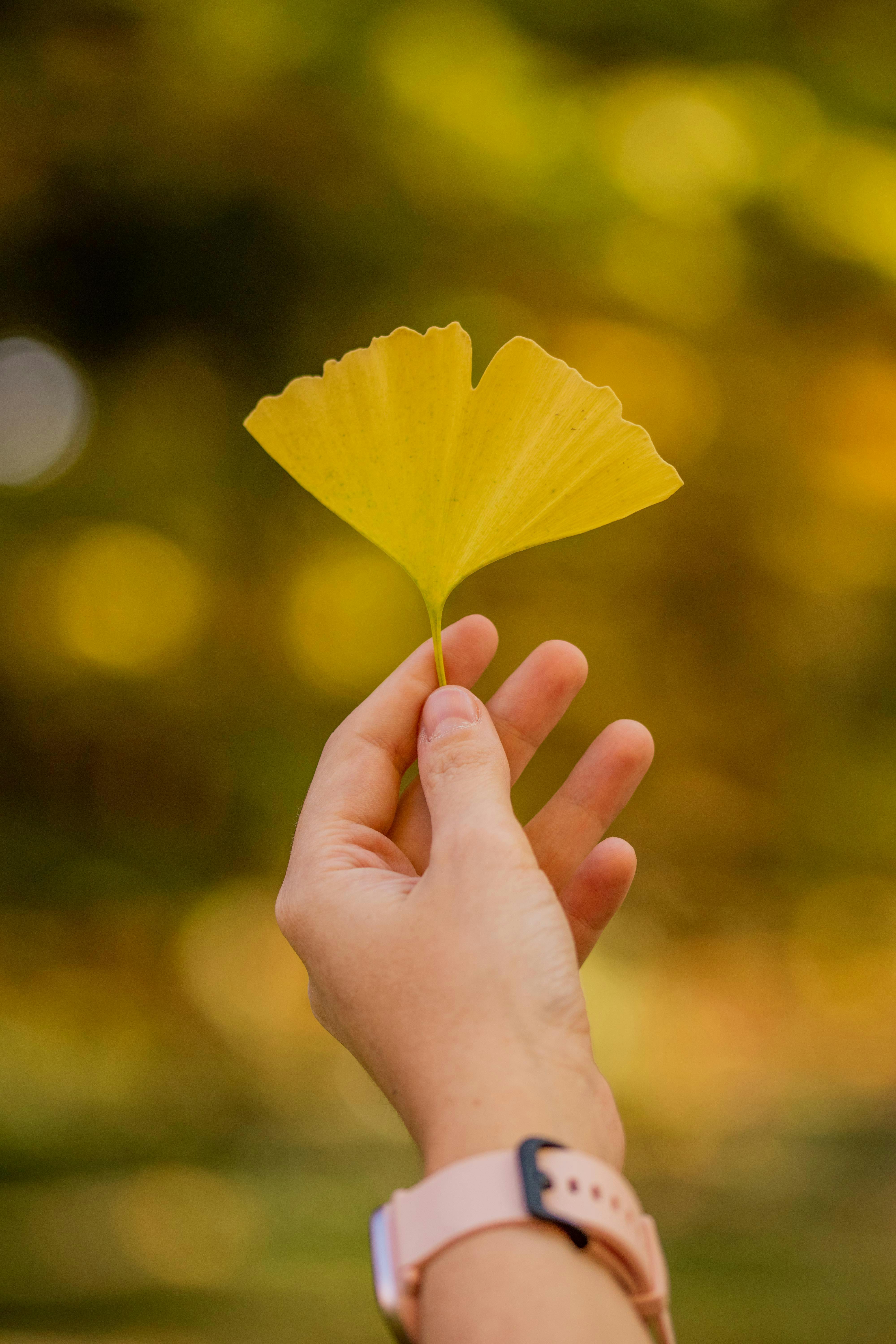 Practical Guide to Ending Emails: Essential Tips for 2025