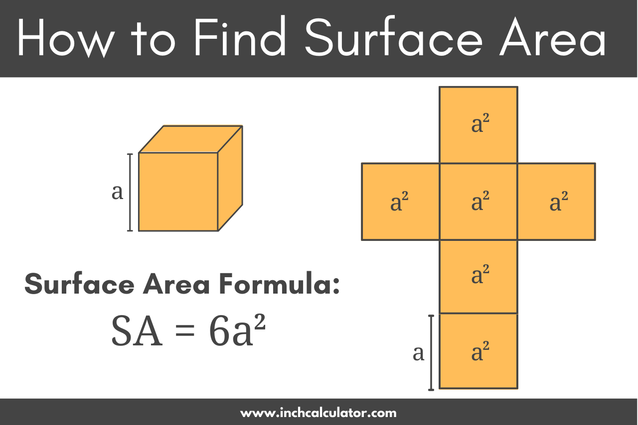 How to Find Surface Area