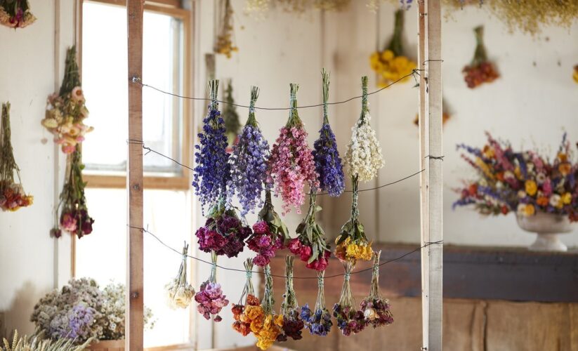 How to Effectively Dry Out Flowers: Simple Ways to Preserve Nature’s Beauty in 2025