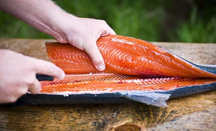 How to Properly Fillet a Fish: Smart Techniques for Enjoying Fresh Seafood in 2025