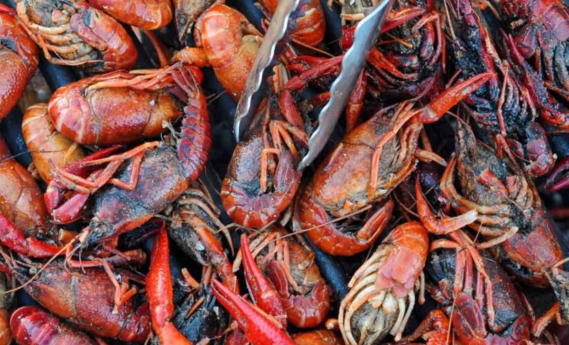 How to Properly Cook Crawfish and Achieve Delicious Flavor in 2025