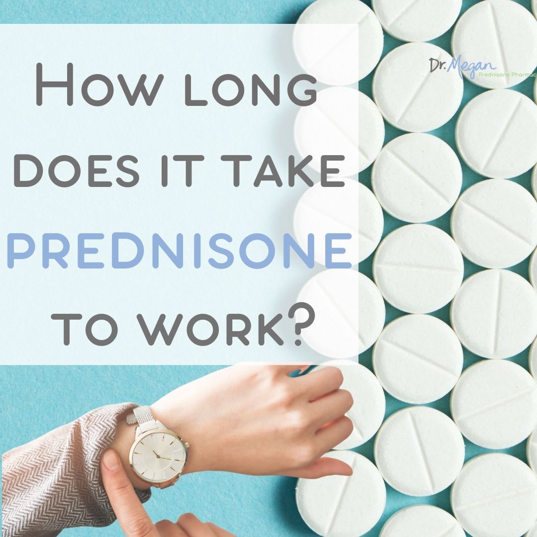 Prednisone working timeline