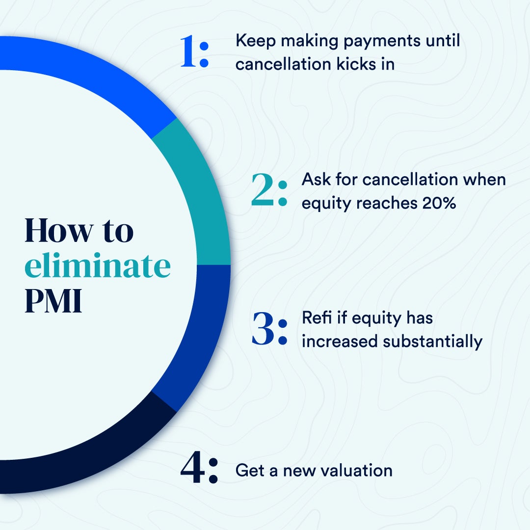 Guidelines for Getting Rid of PMI