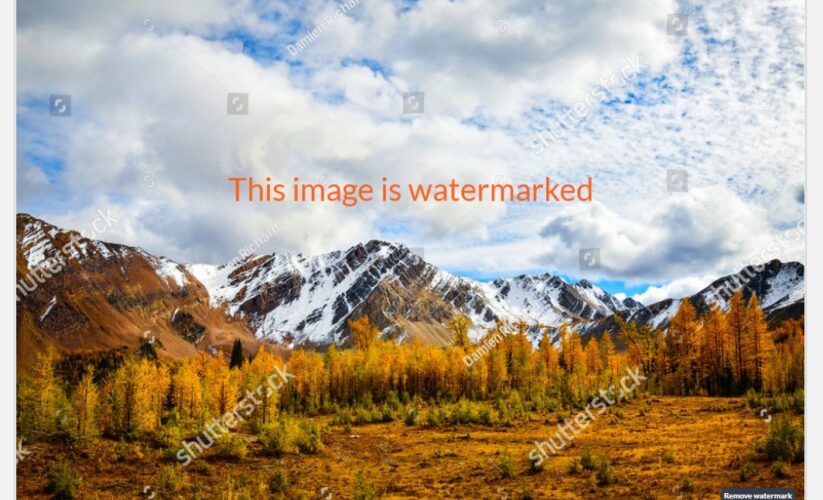 Effective Ways to Watermark Photos for Improved Protection in 2025