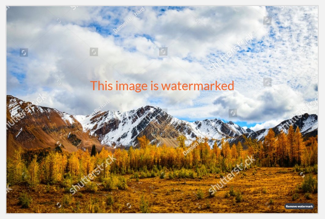 Effective Ways to Watermark Photos for Improved Protection in 2025