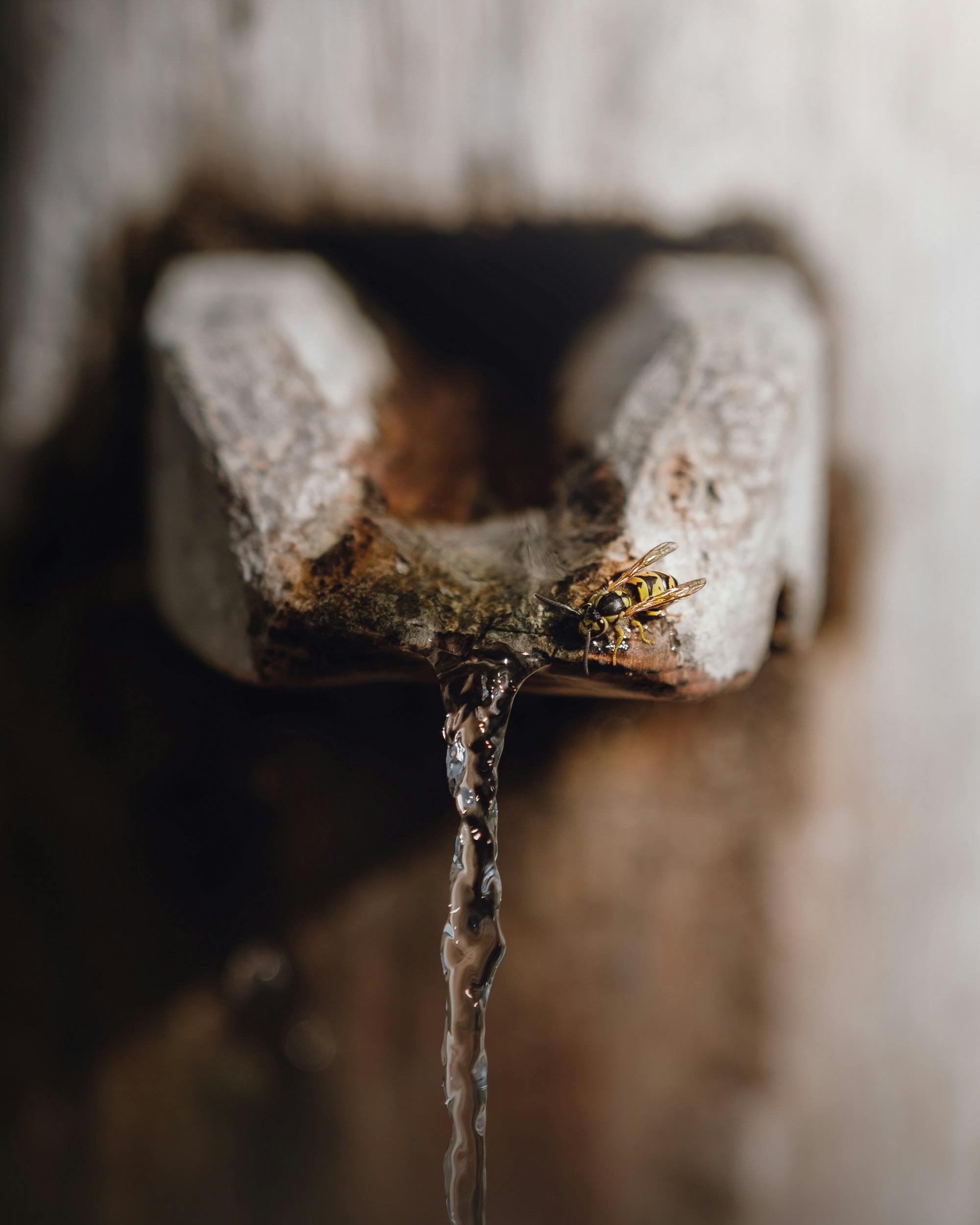 Fixing a Dripping Faucet