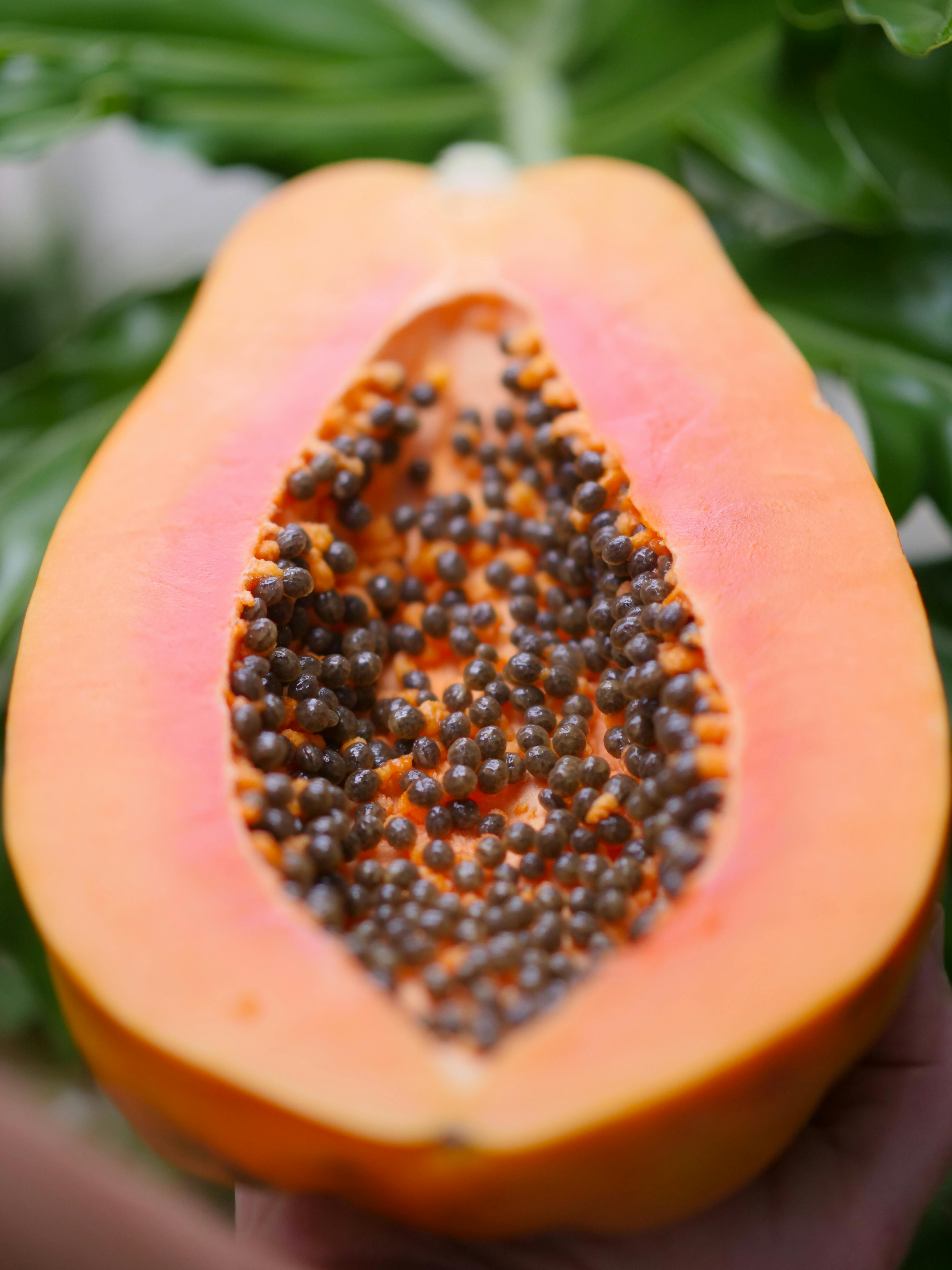 Preparing Papaya Seeds