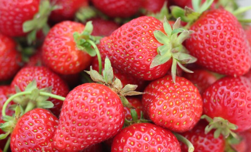 Effective Ways to Grow Strawberries in Pots for a Successful Harvest in 2025