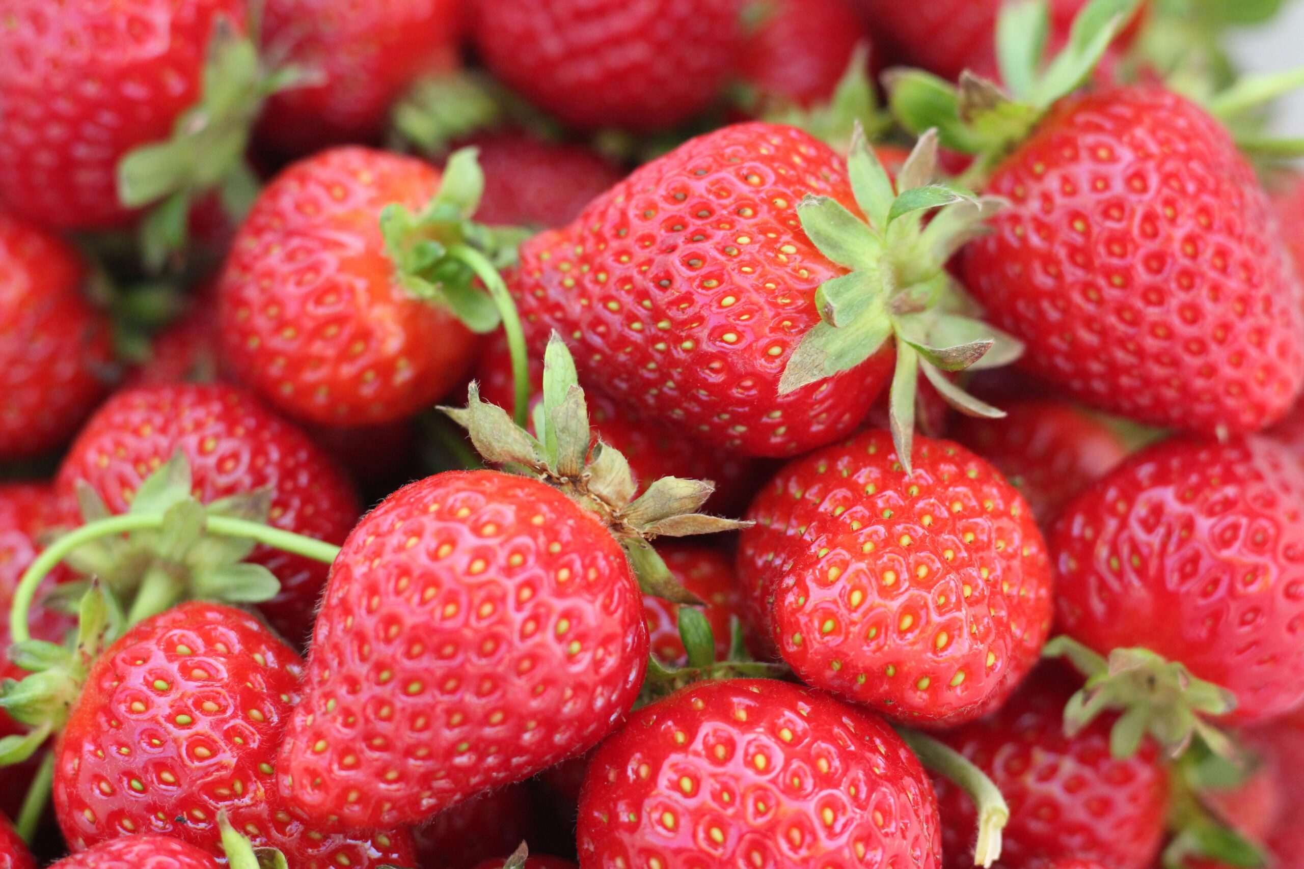 Effective Ways to Grow Strawberries in Pots for a Successful Harvest in 2025